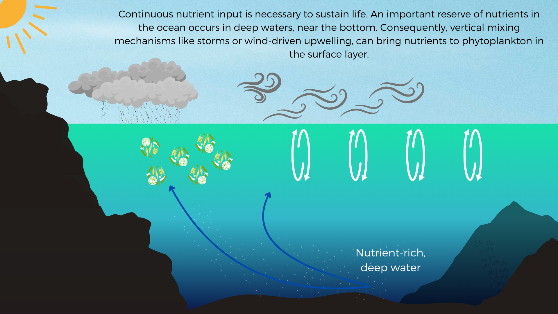 Illustration showing cool deep ocean water mixing with cool surface water driven by wind and rain, bringing nutrients to the surface. Text: Continuous nutrient input is necessary to sustain life. An important reserve of nutrients in the ocean occurs in deep waters, near the bottom. Consequently, vertical mixing mechanisms like storms or wind-driven upwelling, can bring nutrients to phytoplankton in the surface layer.