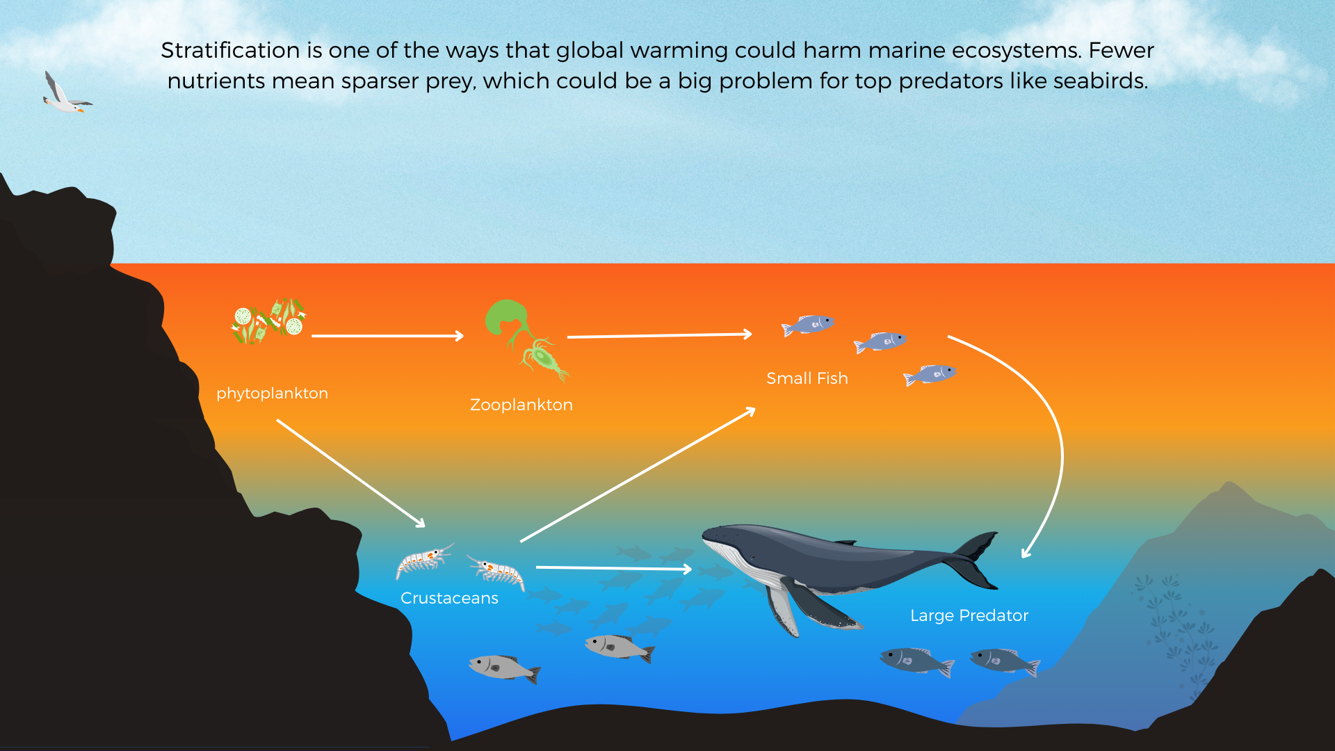 Illustration showing less mixing of ocean water, with food sources for seabirds. Text: Stratification is one of the ways that global warming could harm marine ecosystems. Fewer nutrients mean sparser prey, which could be a big problem for top predators like seabirds.